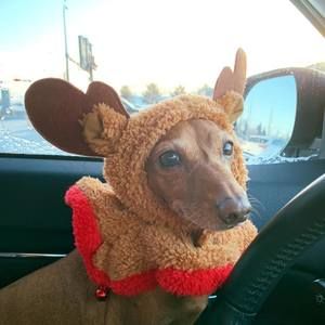 Meet your Posher, Kate-lynn